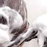 روش صحیح شامپو زدن موی سر